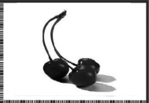 BLACK CHERRY.png